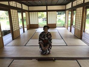 吃瓜美术馆,一场视觉与味觉的奇妙之旅