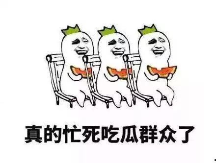 自己就是吃瓜群众,吃瓜群众视角下的娱乐圈风云录