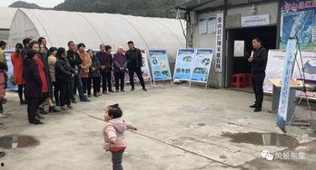 项城吃瓜事件进展