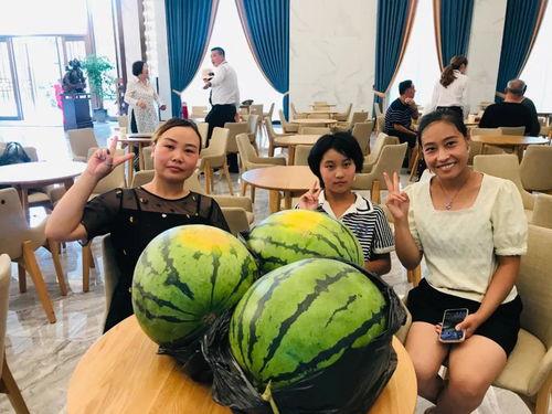 刘建龙吃瓜,揭秘娱乐圈幕后故事