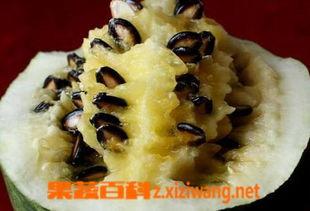 吃籽瓜禁忌,吃籽瓜需知的禁忌与注意事项