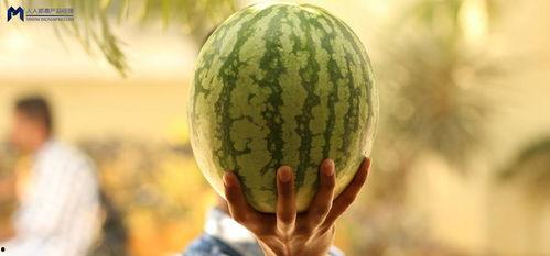 最近最大的吃瓜事件,揭秘某明星惊人内幕