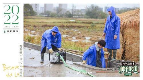 种地吧少年吃瓜,吃瓜群众揭秘田间生活趣事