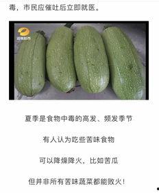 把瓜瓜吃瓜的,揭秘网络热词背后的趣味与思考