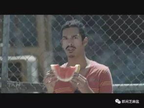 短剧吃瓜爆料,短剧背后的惊人真相大揭秘