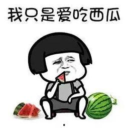 吃瓜娱乐群,揭秘娱乐圈背后的故事与八卦