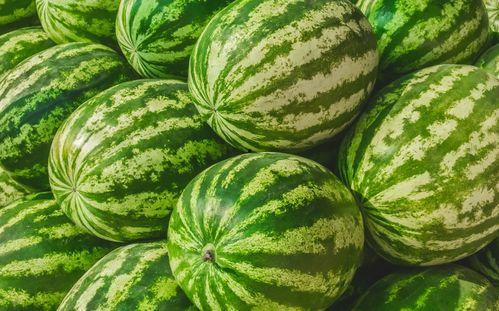 吃瓜在哪找,轻松获取热门资讯,畅享娱乐盛宴