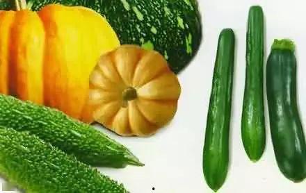 池州学院吃瓜,揭秘校园风云背后的真相